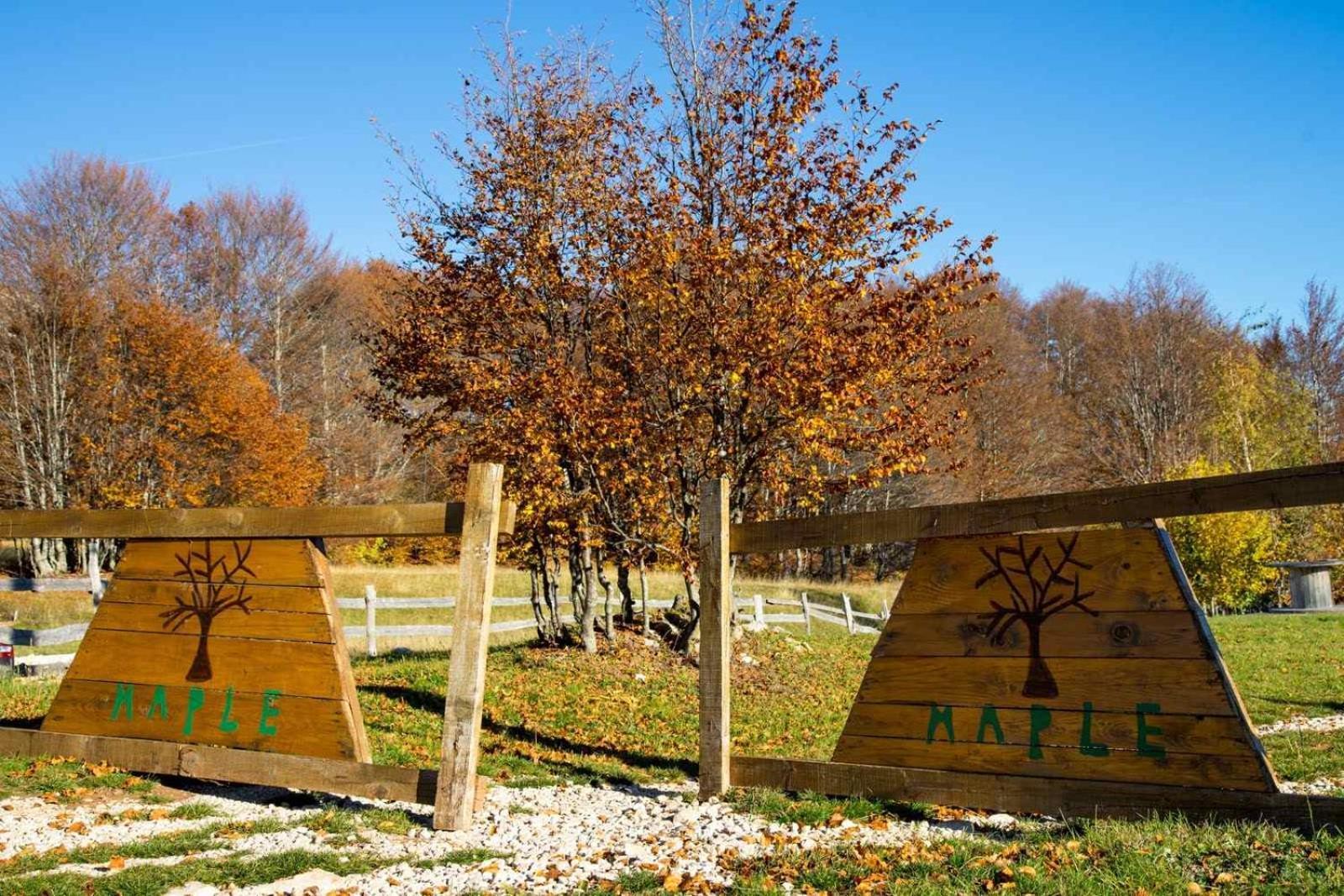 Maple Bungalows Žabljak 外观 照片