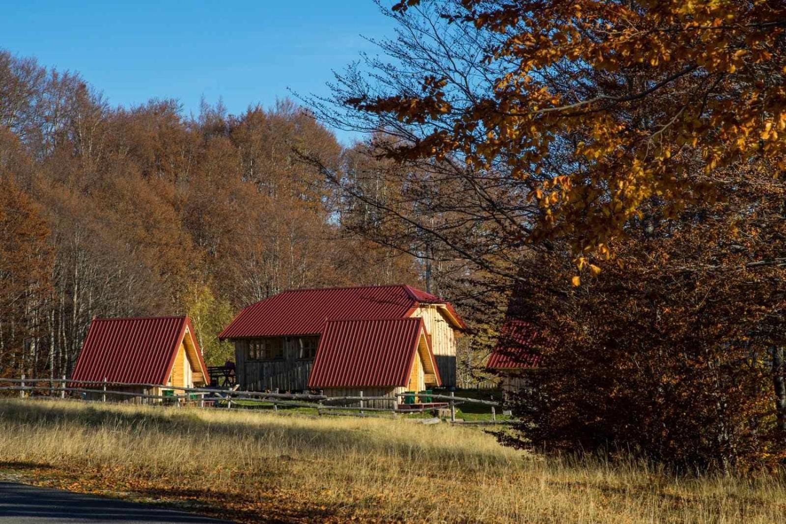 Maple Bungalows Žabljak 外观 照片